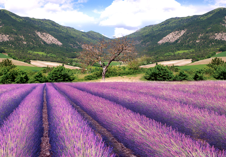 九游娱乐在线登录平台
